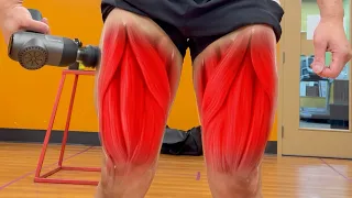 Do Massage Guns ACTUALLY Work