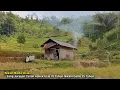 Lagu Nikah Beda Usia.. Seorang Kakek Juragan Tanah Nikahi Gadis Usia 25 Tahun Tinggal di Hutan