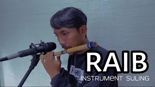 Download RAIB - H.RHOMA IRAMA | Instrument suling MP3