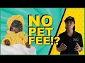 BEST Affordable Pet-Friendly Hotels in Las Vegas