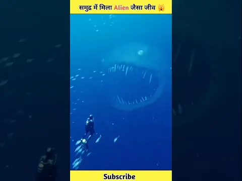 समुद्र में मिला Alien जैसा जीव 🙀l #shorts