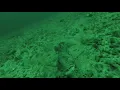 Download Lagu Fishing with GoPro (Norway, 2021)