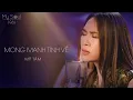Download Lagu Mỹ Tâm - Mong Manh Tình Về (Live) | My Soul 1981