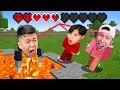 Minecraft BUT Our Health is Shared