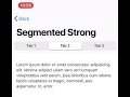 Strong Segmented in Framework7 v5
