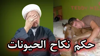 حكم العبث مع الحيوانات في علاقة محرمة والعياذ بالله رب العالمين    دندنها