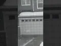 Snowfall in Spanaway