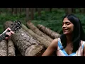 No One Needs To Know | Acoustic Duo Oxfordshire | Weddings & Events