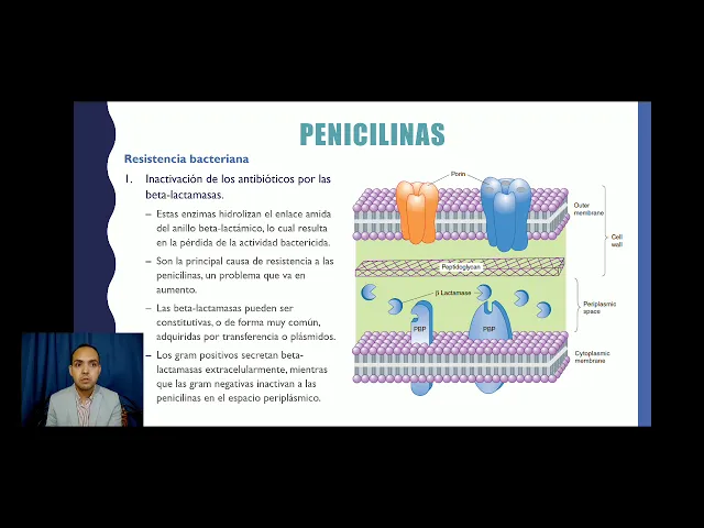 Inhibidores de la síntesis de la pared bacteriana-Parte 1 Penicilinas (5/8)
