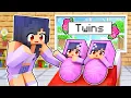 Aphmau Had TWINS In Minecraft