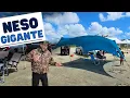 Neso Gigante Tent Review