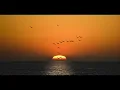 DESPUES DE TI  ¿QUE? -- NINO ZEGARRA --  LETRA