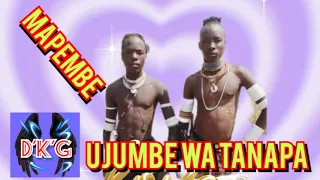mapembe bhuhimila ujumbe wa tanapa official music audio msambazaji doto k gashi
