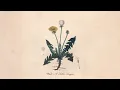 Snoh Aalegra - Wait A Little Longer (Visualizer)