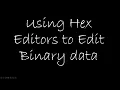 Using Hex Editor to Edit Binary Data - Sinhala
