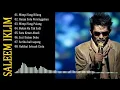 Lagu SALEEM IKLIM FULL ALBUM TERBAIK 2025
