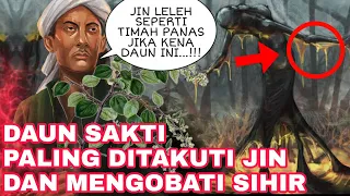 Download JIN DAN SETAN LEBUR!!!_INILAH DAUN YANG DITAKUTI JIN DAN BISA MENGOBATI SIHIR_KHASIAT DAUN BIDARA MP3