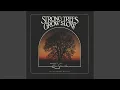 Download Lagu Stream of Tears