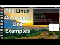 Linux Command Line Examples with find exec stat ls - ld cat