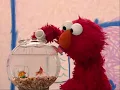 Download Lagu elmo's song [reupload]