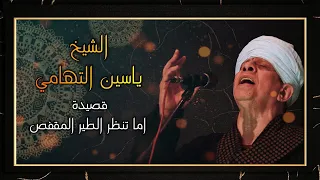 الشيخ ياسين التهامي   قصيدة اما تنظر الطير المقفص دندنها