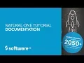 Natural ONE Tutorial - Documentation