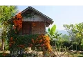 Download Lagu PAI TRAVEL GUIDE | Exploring the hippie hillside town in Northern Thailand (ปาย)
