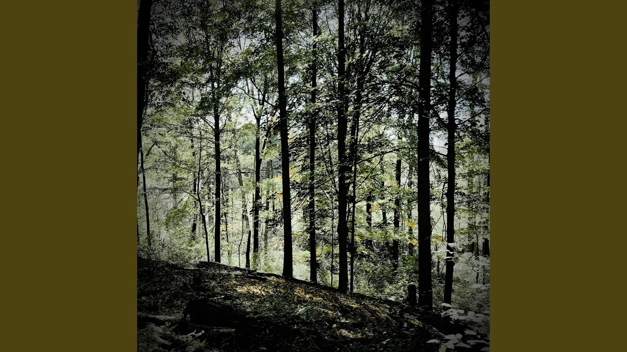 In the Great Wild World (Slate Remix) In the Great Wild World (Slate Remix)