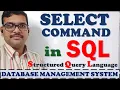 SELECT COMMAMD IN SQL DML COMMANDS SQL COMMANDS WHERE CLAUSE ORDER BY SQL DBMS