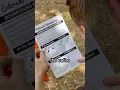 Download Lagu Ik heb geleerd hoe je een boemerang moet gooien - en het was GEWELDIG