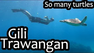 Crystal clear waters and turtles galore on Gili Trawangan | Gili Trawangan (Indonesia Ep 9)