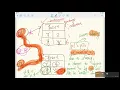 2 Attributes with Reference Types Mutator Methods that Modify Reference Typed Attributes
