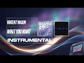Vincent Mason - What You Want (Instrumental)