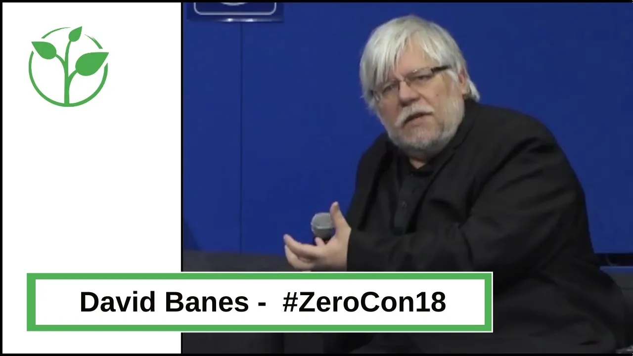 ICT-"Guru" David Banes on the power of smart cities that are also inclusive.
