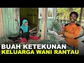 BERSIAP TEBAR BIBIT NILA \u0026 LELE \u0026 TANAM ALPUKAT \u0026 MANGGA DI LAHAN BARU WANI RANTAU SEPUNGGUR KALTARA