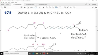 Aula 5 ACH5543 - Catabolismo de Ácidos Graxos