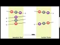 Julien Viet - Real-world HTTP performance benchmarking lessons learned
