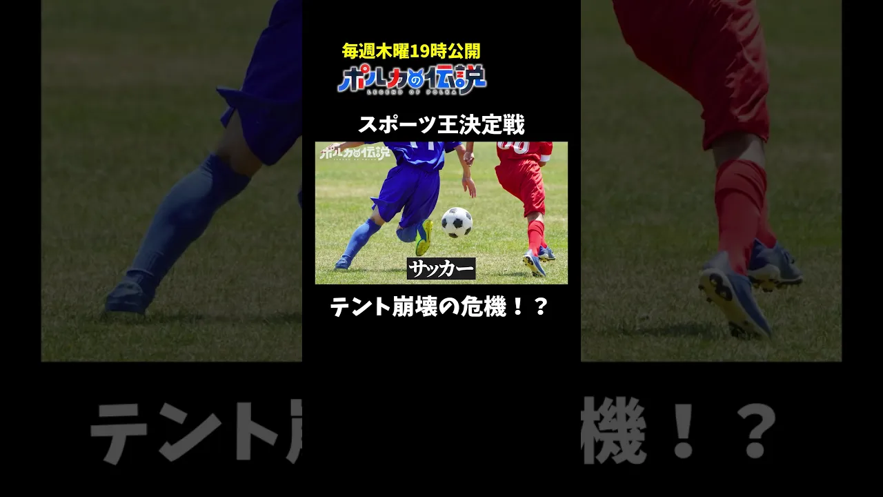 スポーツ王決定戦を開催します！#ポルカの伝説 #尾丸ポルカ #shorts