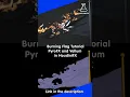 How I Burned This Pirate Flag in Houdini
