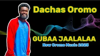 DACHAS OROMO GUBAA JAALALAA New Oromo Music 2025 