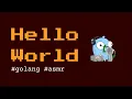 Hello World asmr coding session in golang