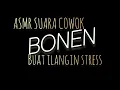 ASMR Suara Cowok | Bonen Buat Ngilangin Stress