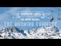Mammoth Cures for Common Maladies The Morning Commute