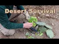 How to Eat Prickly Pear Cactus