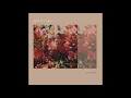 Chihei Hatakeyama - Butterfly's Dream II