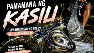 Hunting Kasili or Palos: Spearfishing sa Ilog ng Kagubatan! 