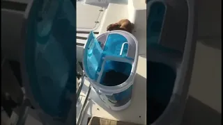 It’s the little things in life! #shorts #boatlife #tinyhome