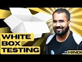 White Box Testing Explained in Hindi l Software Engineering