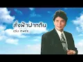 สั่งฟ้าฝากดิน - ชรัม เทพชัย (Official Audio)