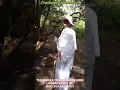Download Lagu Twegatteko Tulambule Oruremb/Olubiri lwa Bachwezi olukulu mu Bigo bya Mugenyi, Sembabule District